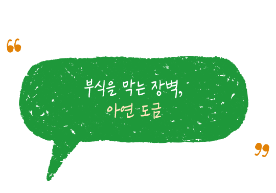 kzstory
