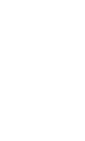 zinc_history05